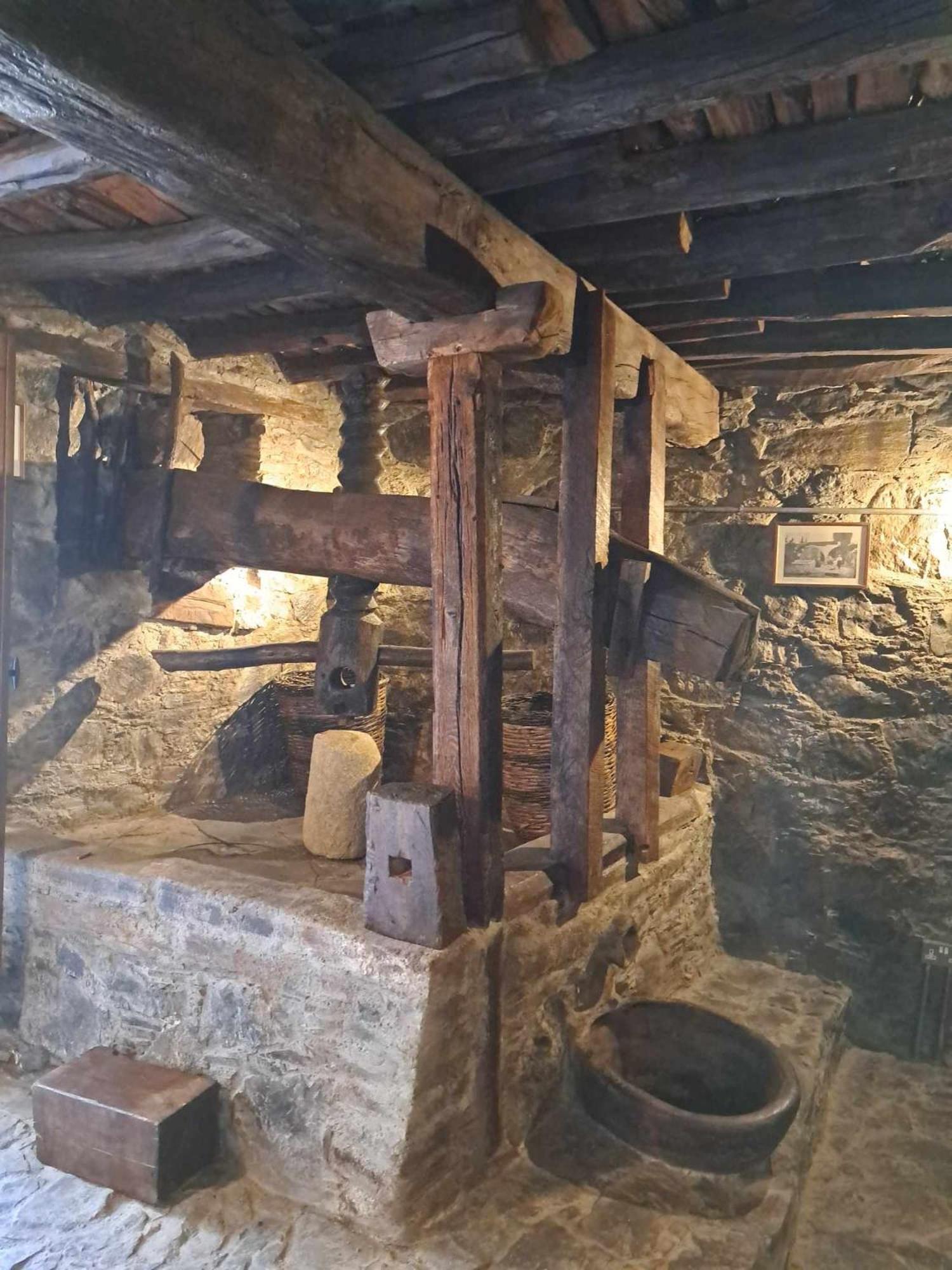 Pitharia * Аскас